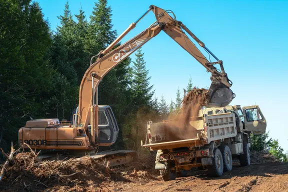 BingoCafe Cazino Cazinou Suport